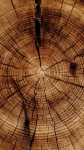 چوب مناسب برای کابینت